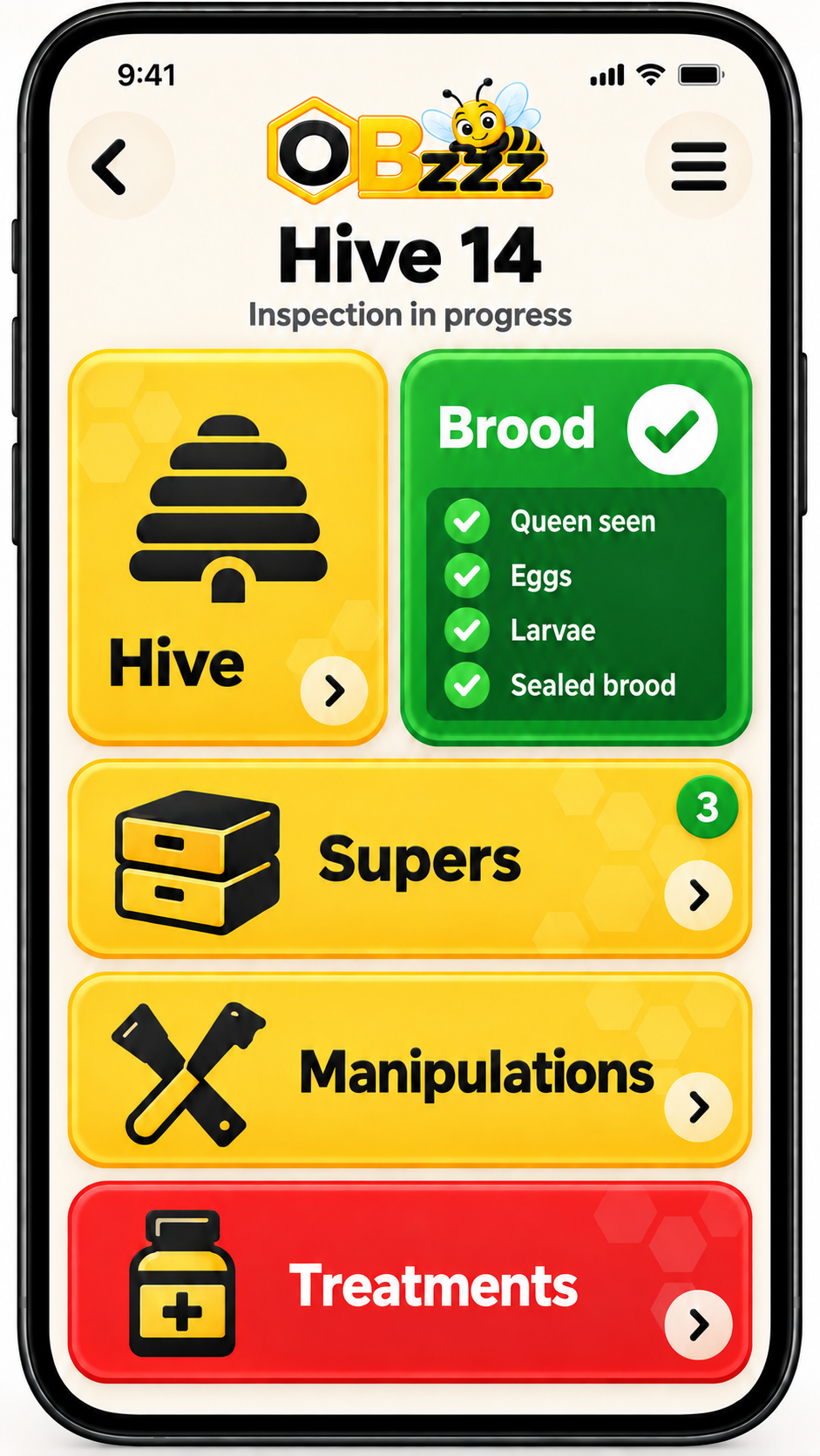 OBzzz inspection overview screen